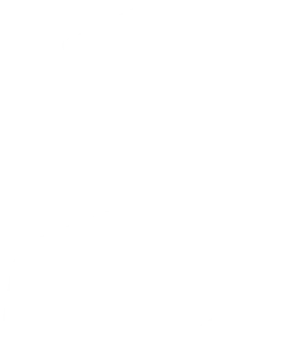 Seguridad Intramuros